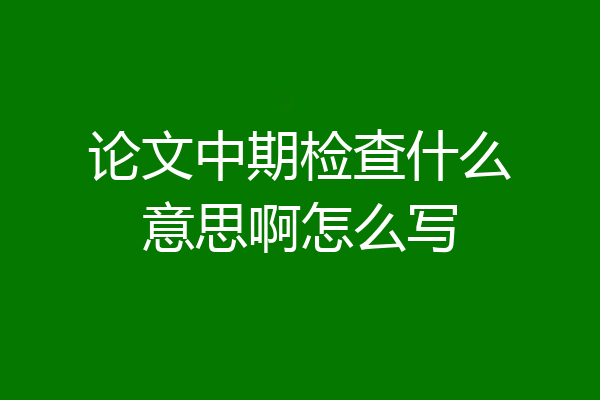 论文中期检查什么意思啊怎么写
