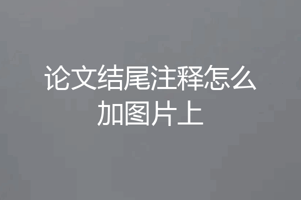 论文结尾注释怎么加图片上