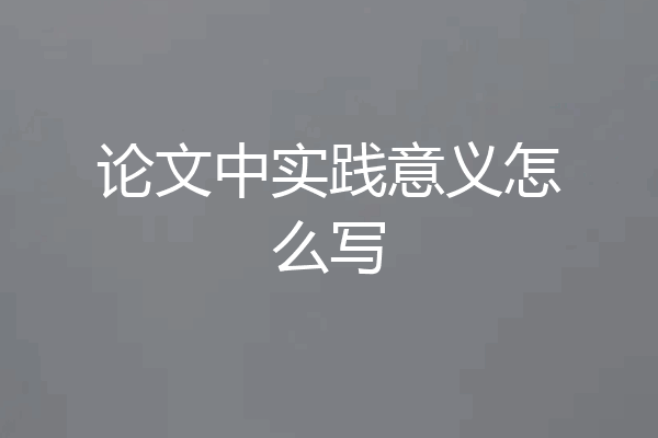 论文中实践意义怎么写