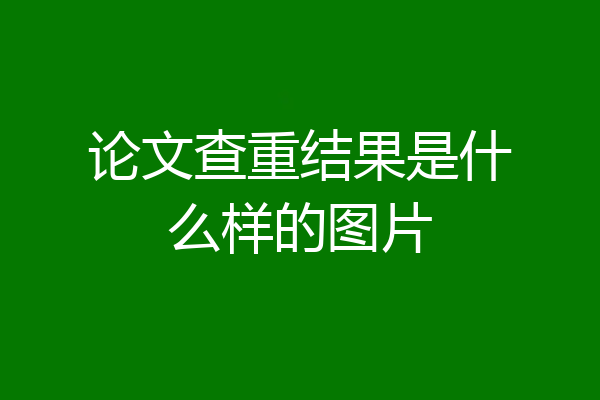 论文查重结果是什么样的图片