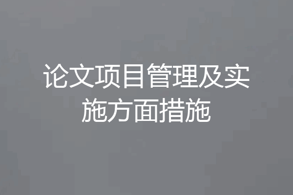 论文项目管理及实施方面措施