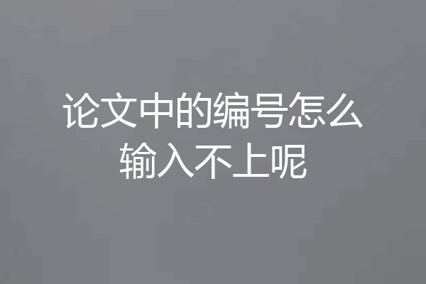 论文中的编号怎么输入不上呢