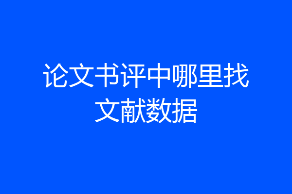 论文书评中哪里找文献数据