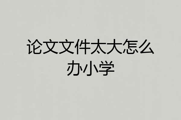 论文文件太大怎么办小学