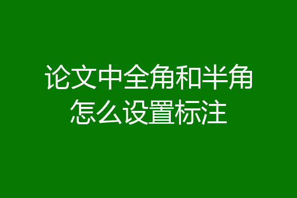 论文中全角和半角怎么设置标注