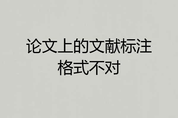 论文上的文献标注格式不对
