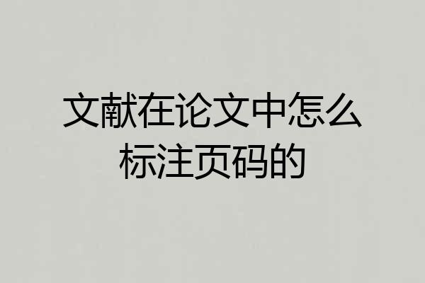 文献在论文中怎么标注页码的