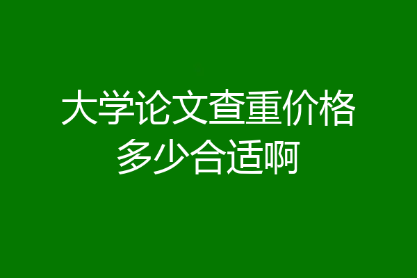 大学论文查重价格多少合适啊