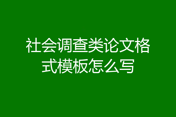 社会调查类论文格式模板怎么写