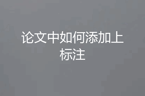 论文中如何添加上标注