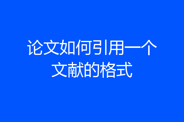 论文如何引用一个文献的格式