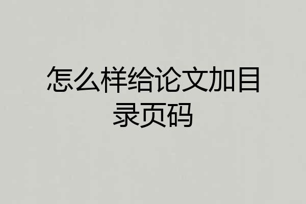 怎么样给论文加目录页码