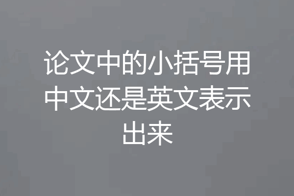 论文中的小括号用中文还是英文表示出来