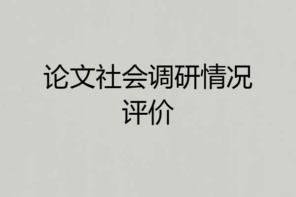 论文社会调研情况评价