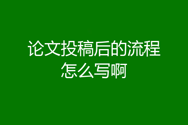 论文投稿后的流程怎么写啊