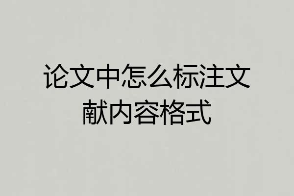 论文中怎么标注文献内容格式