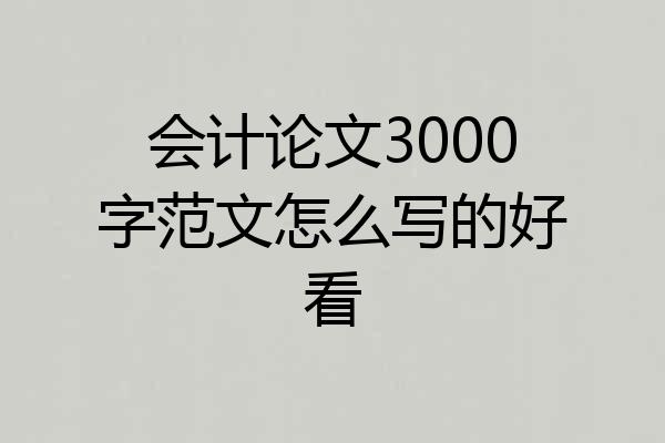 会计论文3000字范文怎么写的好看