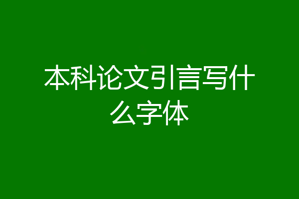 本科论文引言写什么字体