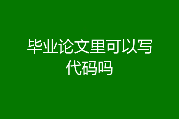 毕业论文里可以写代码吗