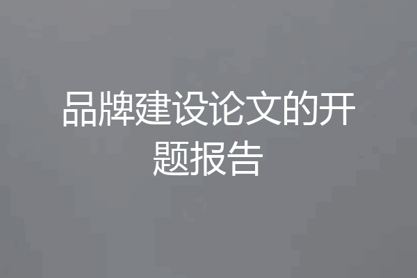 品牌建设论文的开题报告