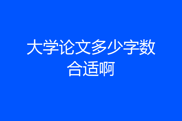 大学论文多少字数合适啊