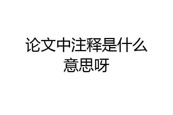 论文中注释是什么意思呀