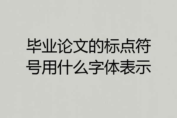 毕业论文的标点符号用什么字体表示