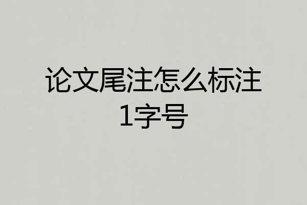论文尾注怎么标注1字号