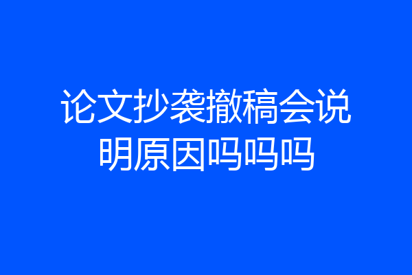 论文抄袭撤稿会说明原因吗吗吗