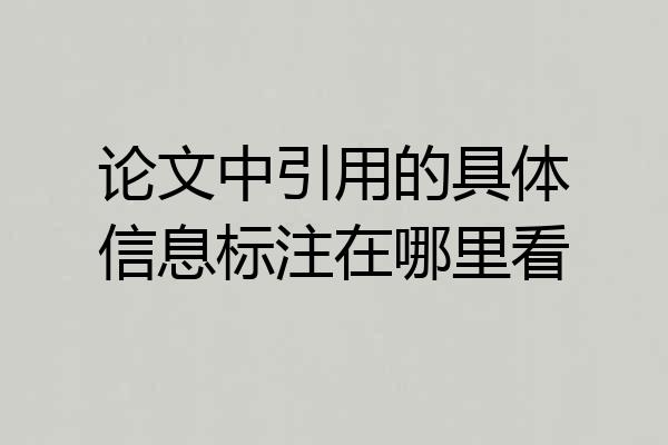 论文中引用的具体信息标注在哪里看