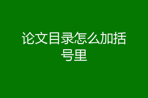 论文目录怎么加括号里