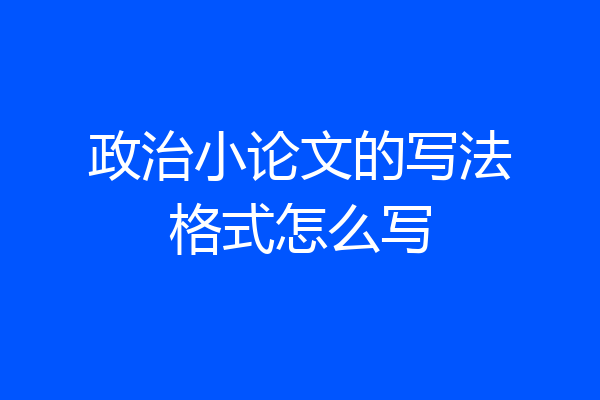 政治小论文的写法格式怎么写