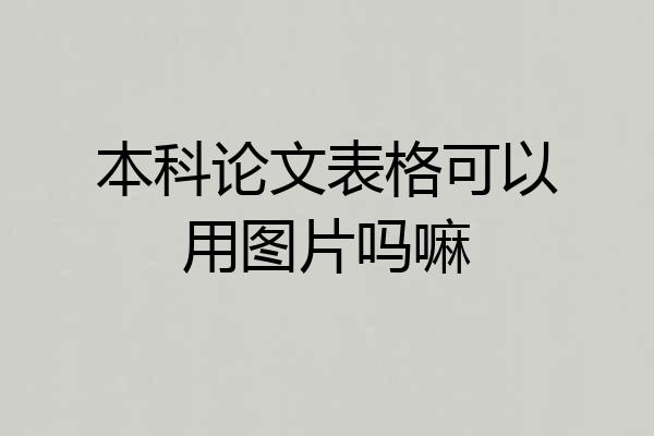 本科论文表格可以用图片吗嘛