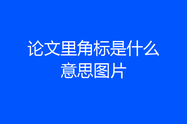 论文里角标是什么意思图片