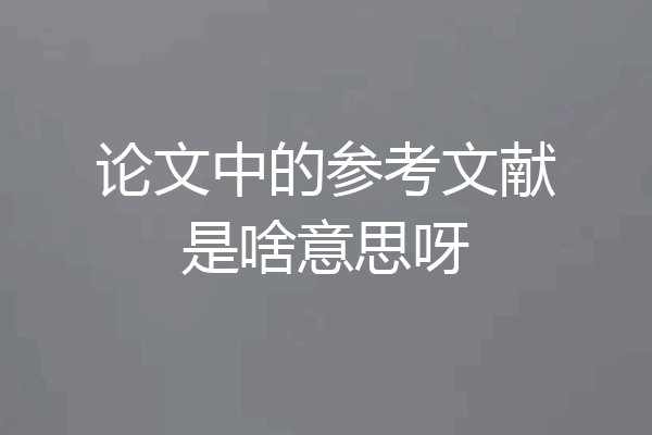 论文中的参考文献是啥意思呀