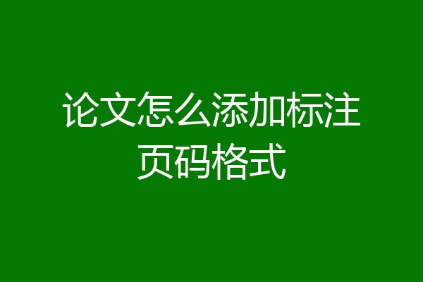 论文怎么添加标注页码格式