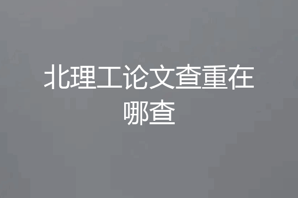 北理工论文查重在哪查