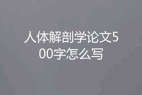 人体解剖学论文500字怎么写