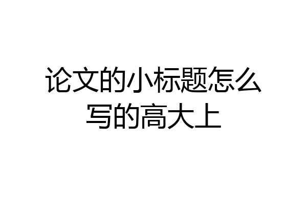 论文的小标题怎么写的高大上