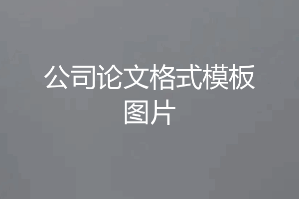公司论文格式模板图片