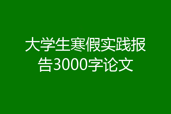 大学生寒假实践报告3000字论文