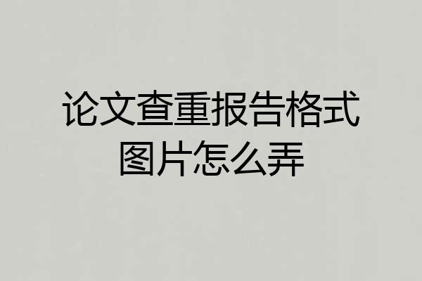 论文查重报告格式图片怎么弄