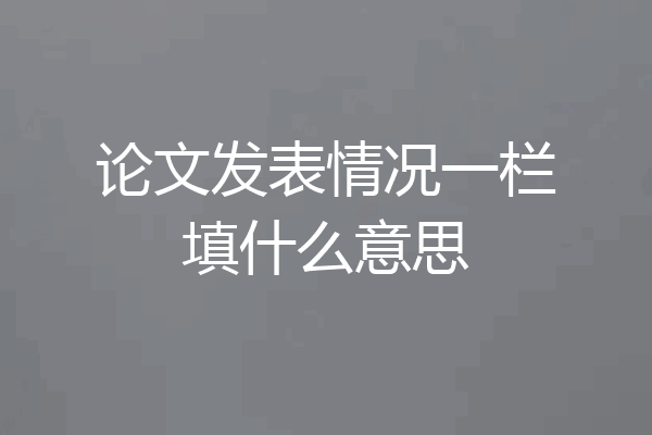 论文发表情况一栏填什么意思