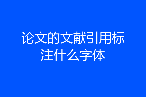 论文的文献引用标注什么字体