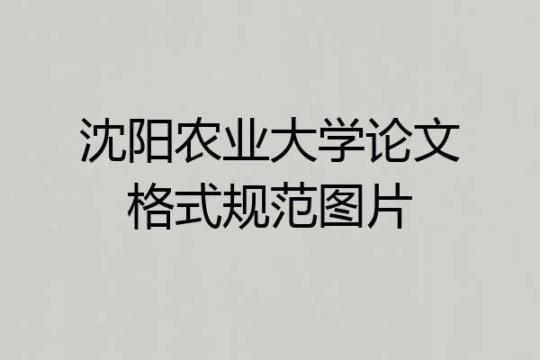 沈阳农业大学论文格式规范图片