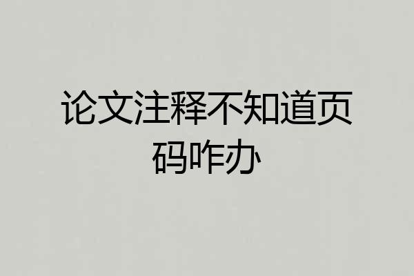 论文注释不知道页码咋办