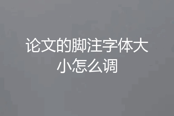 论文的脚注字体大小怎么调