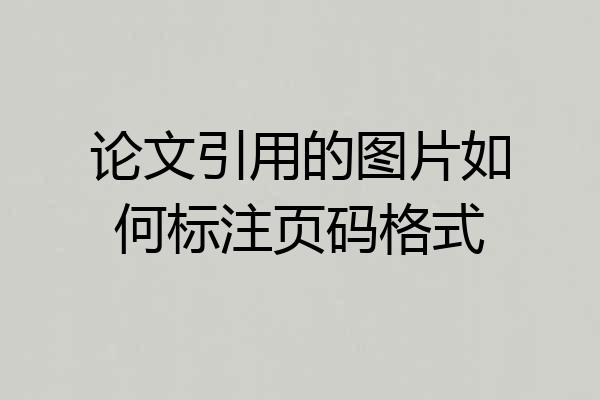 论文引用的图片如何标注页码格式