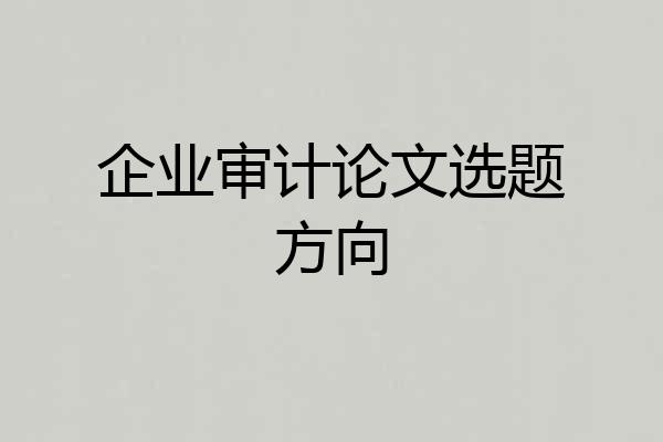 企业审计论文选题方向
