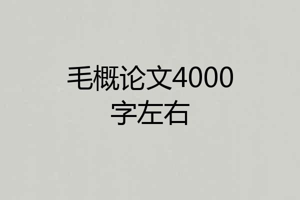 毛概论文4000字左右
